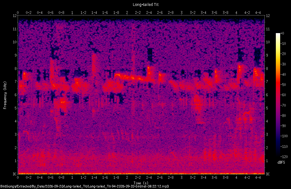 Spectrogram of a Long-tailed Tit recorded at 08:22:12