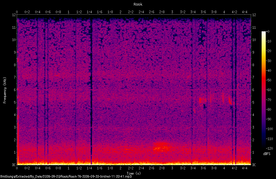 Spectrogram of a Rook recorded at 11:20:41