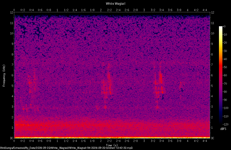 Spectrogram of a White Wagtail recorded at 10:42:20