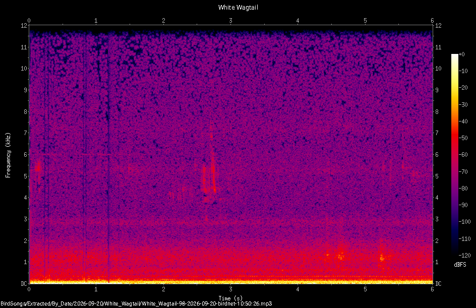 Spectrogram of a White Wagtail recorded at 10:50:26