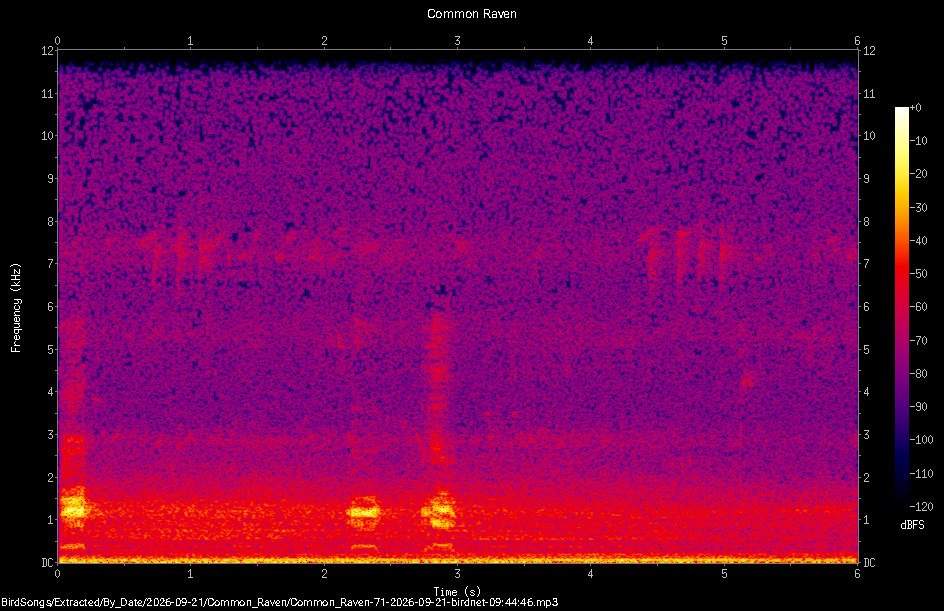 Spectrogram of a Common Raven recorded at 09:44:46