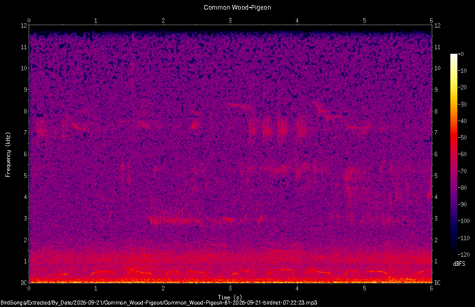 Spectrogram of a Common Wood-Pigeon recorded at 07:22:23