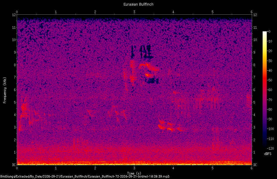 Spectrogram of a Eurasian Bullfinch recorded at 18:28:39
