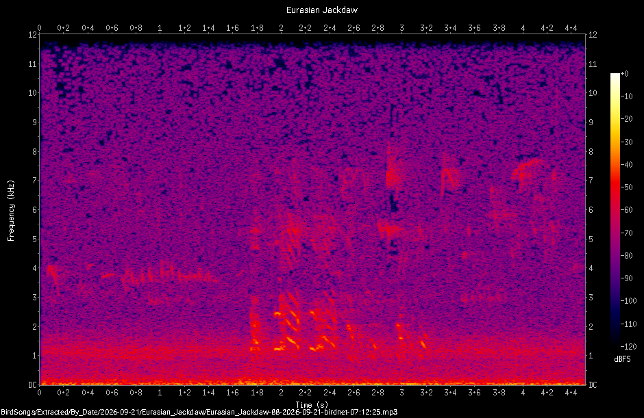 Spectrogram of a Eurasian Jackdaw recorded at 07:12:25