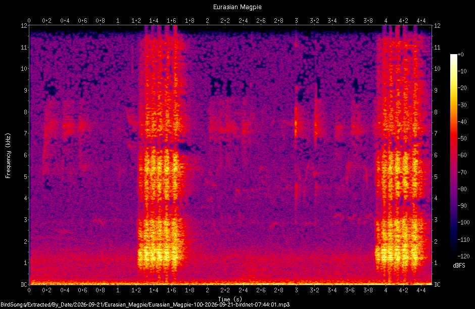 Spectrogram of a Eurasian Magpie recorded at 07:44:01