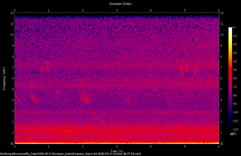 Spectrogram of a Eurasian Siskin recorded at 08:27:55
