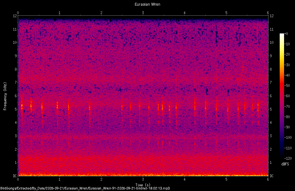 Spectrogram of a Eurasian Wren recorded at 18:02:13