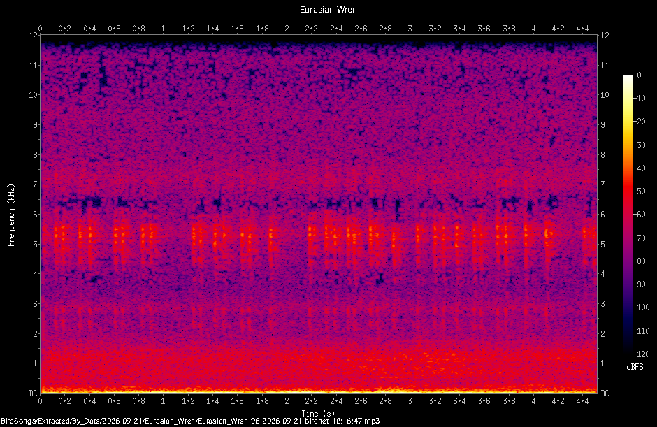 Spectrogram of a Eurasian Wren recorded at 18:16:47
