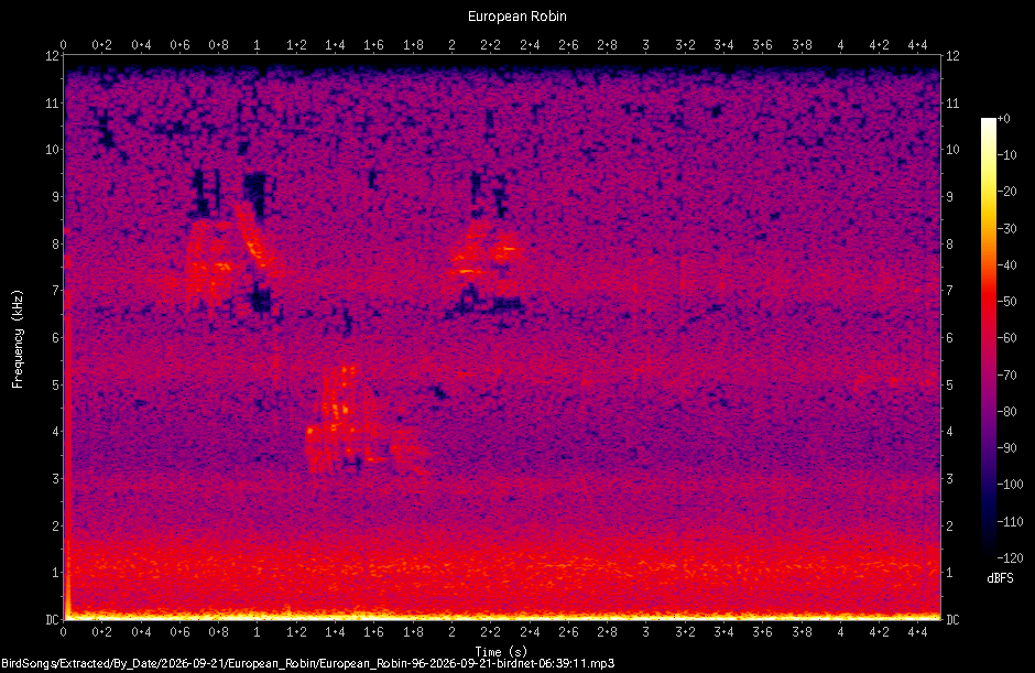 Spectrogram of a European Robin recorded at 06:39:11