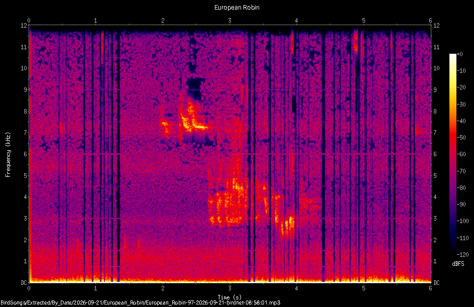 Spectrogram of a European Robin recorded at 08:58:01