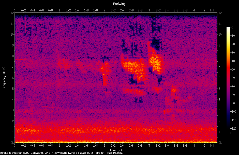 Spectrogram of a Redwing recorded at 11:26:03