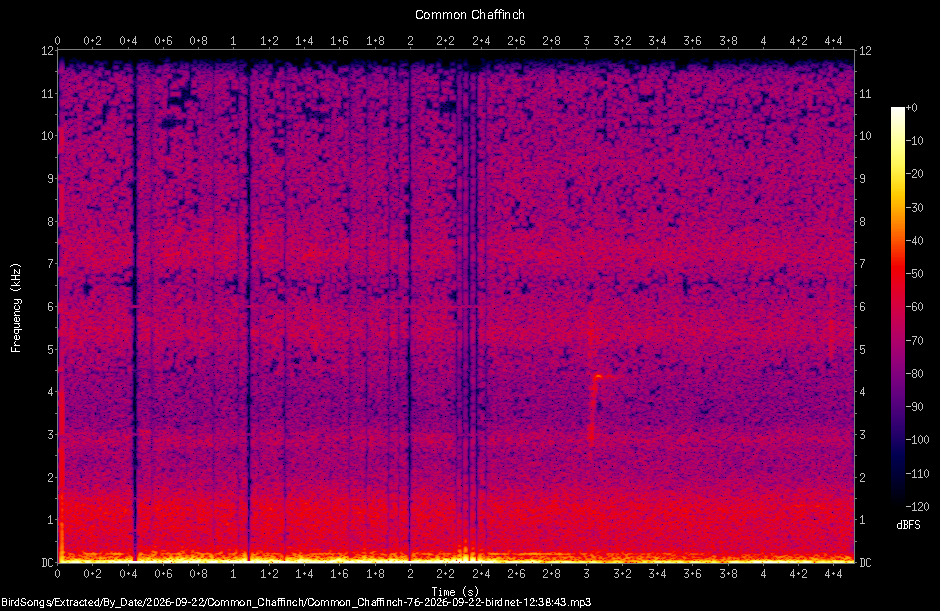 Spectrogram of a Common Chaffinch recorded at 12:38:43