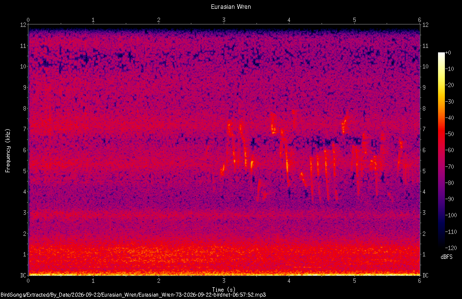 Spectrogram of a Eurasian Wren recorded at 06:57:52