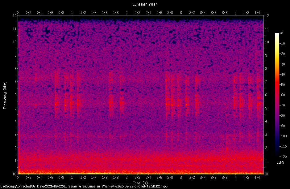 Spectrogram of a Eurasian Wren recorded at 12:50:02