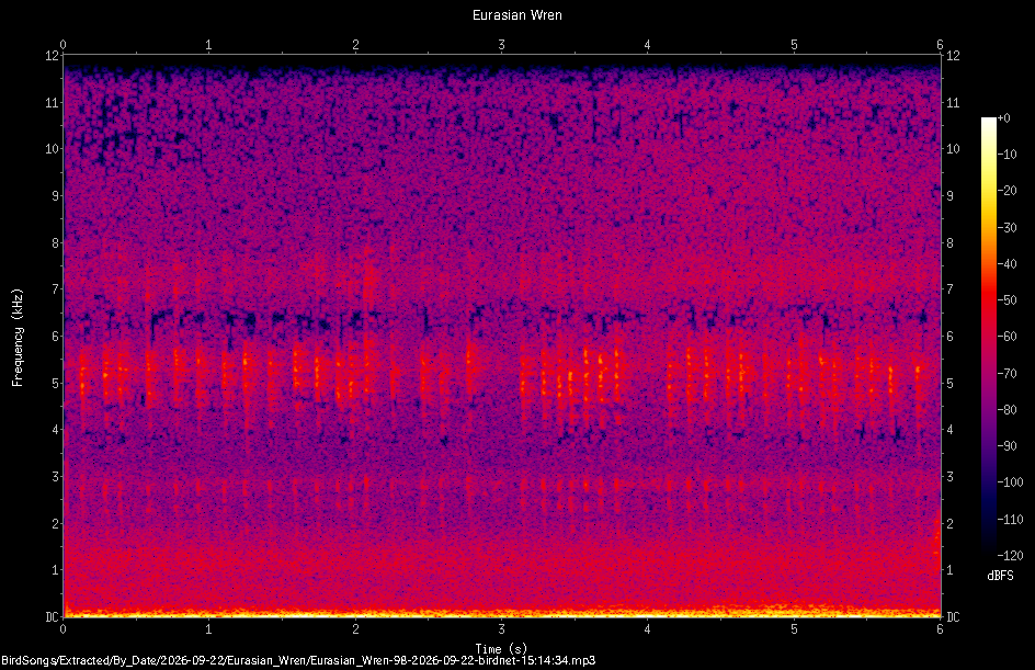 Spectrogram of a Eurasian Wren recorded at 15:14:34