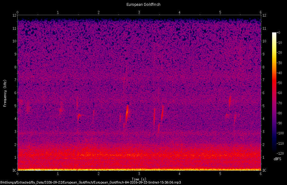 Spectrogram of a European Goldfinch recorded at 15:36:06