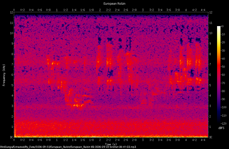 Spectrogram of a European Robin recorded at 06:41:03