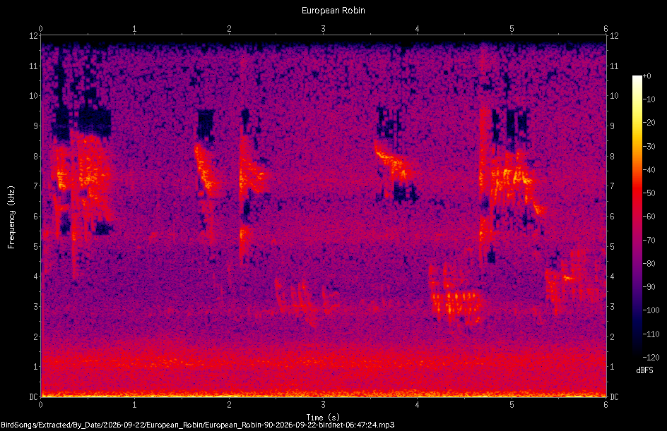 Spectrogram of a European Robin recorded at 06:47:24