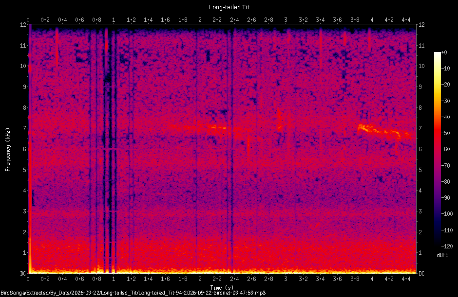 Spectrogram of a Long-tailed Tit recorded at 09:47:59