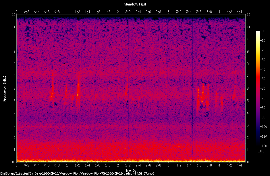 Spectrogram of a Meadow Pipit recorded at 14:58:57