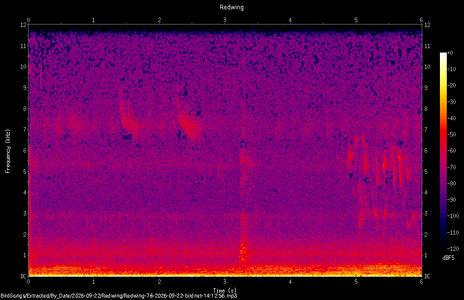 Spectrogram of a Redwing recorded at 14:12:56