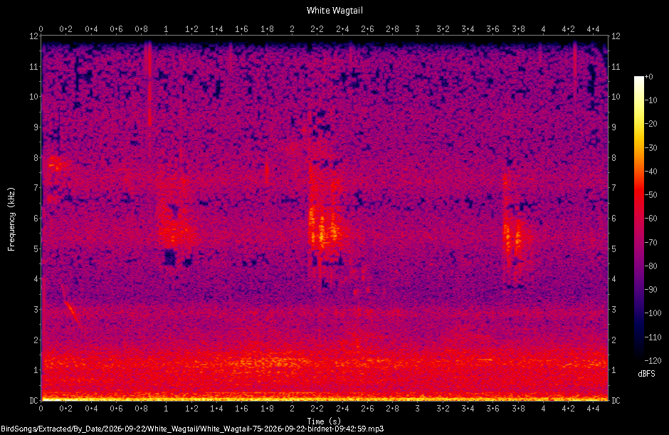 Spectrogram of a White Wagtail recorded at 09:42:59