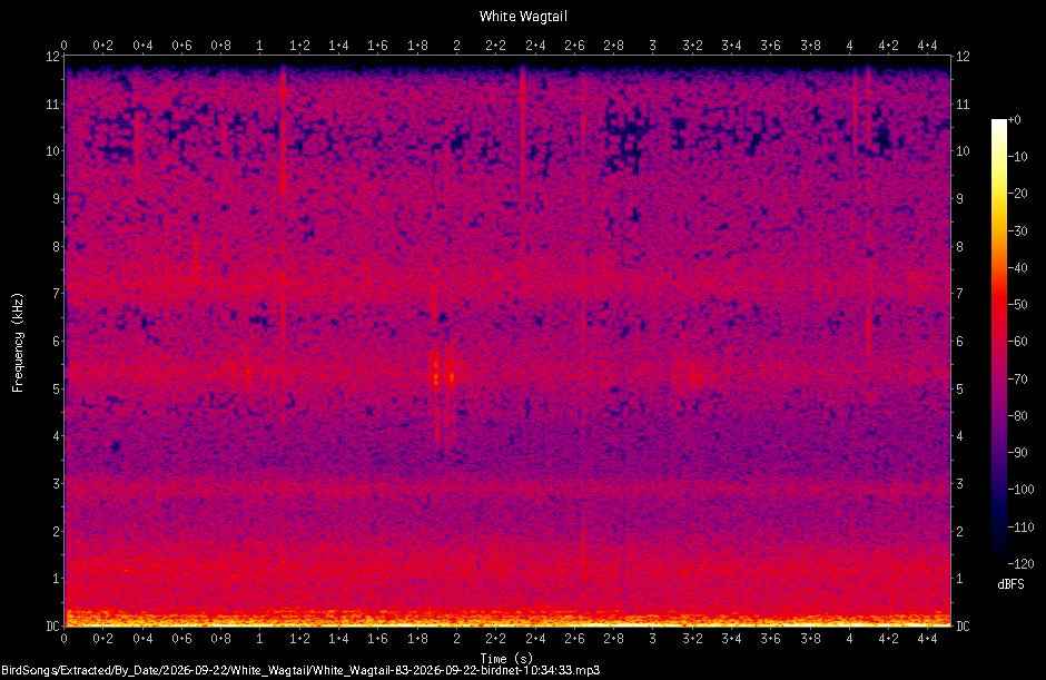 Spectrogram of a White Wagtail recorded at 10:34:33