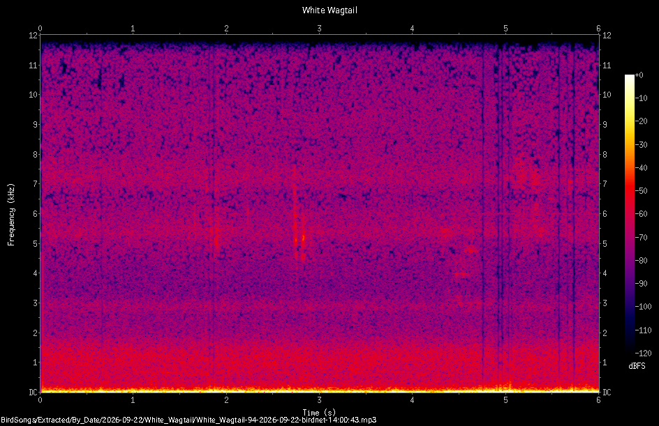 Spectrogram of a White Wagtail recorded at 14:00:43