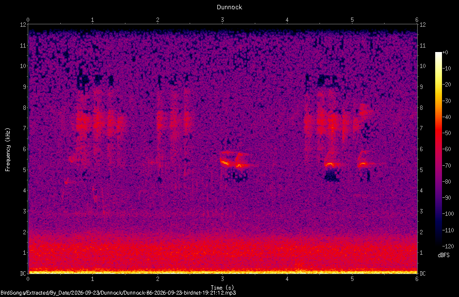 Spectrogram of a Dunnock recorded at 19:21:12