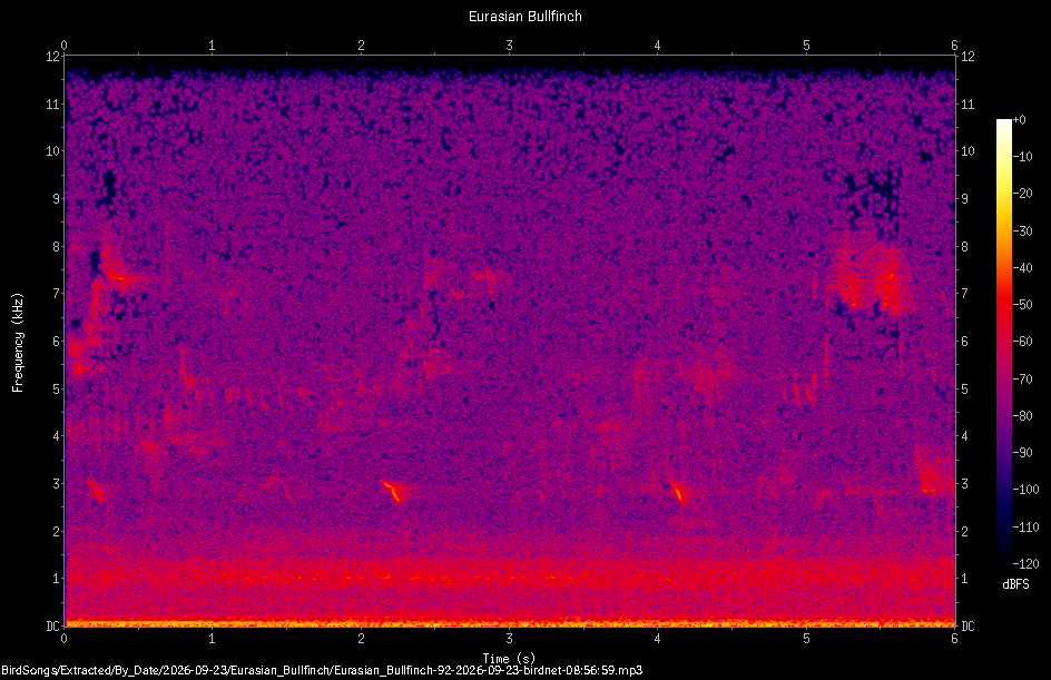 Spectrogram of a Eurasian Bullfinch recorded at 08:56:59