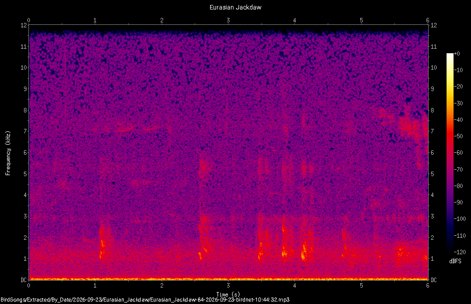 Spectrogram of a Eurasian Jackdaw recorded at 10:44:32
