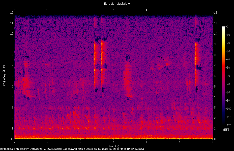 Spectrogram of a Eurasian Jackdaw recorded at 10:59:33