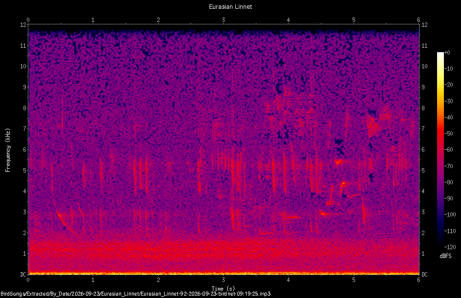 Spectrogram of a Eurasian Linnet recorded at 09:19:25