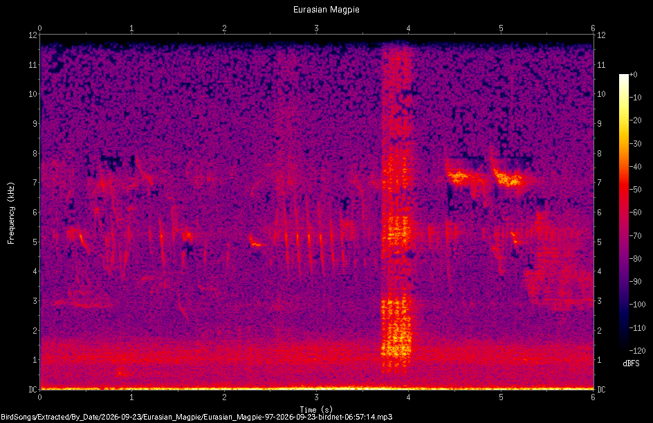 Spectrogram of a Eurasian Magpie recorded at 06:57:14