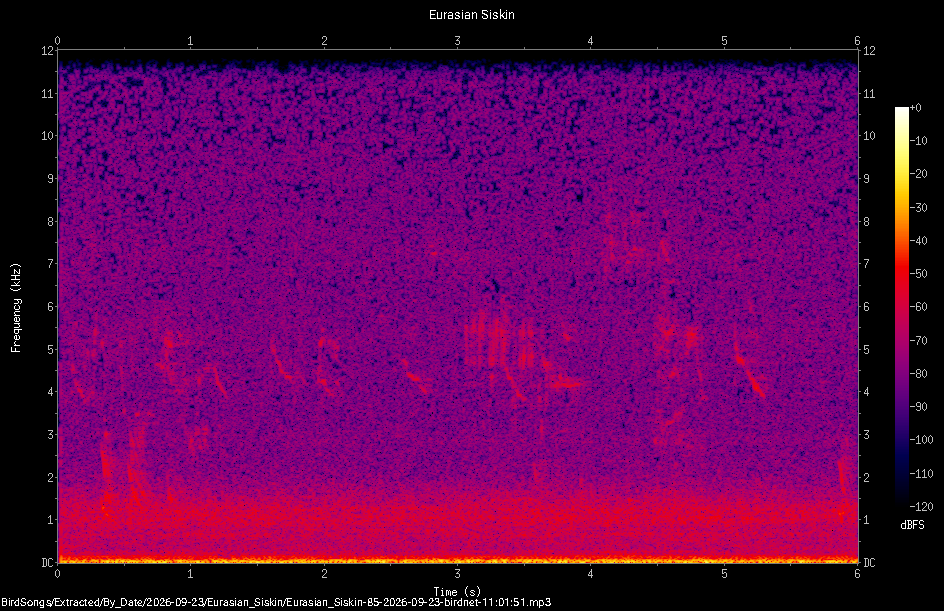 Spectrogram of a Eurasian Siskin recorded at 11:01:51