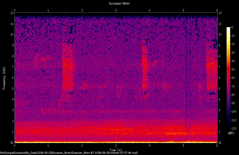 Spectrogram of a Eurasian Wren recorded at 07:27:46