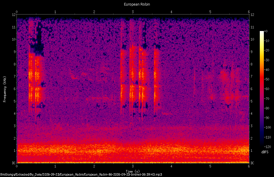 Spectrogram of a European Robin recorded at 06:39:43