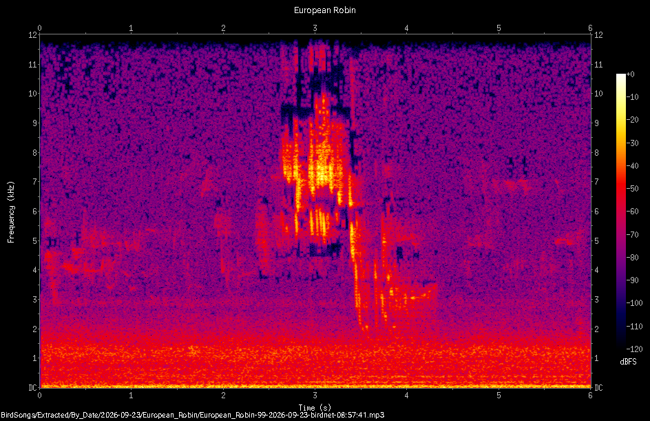 Spectrogram of a European Robin recorded at 08:57:41