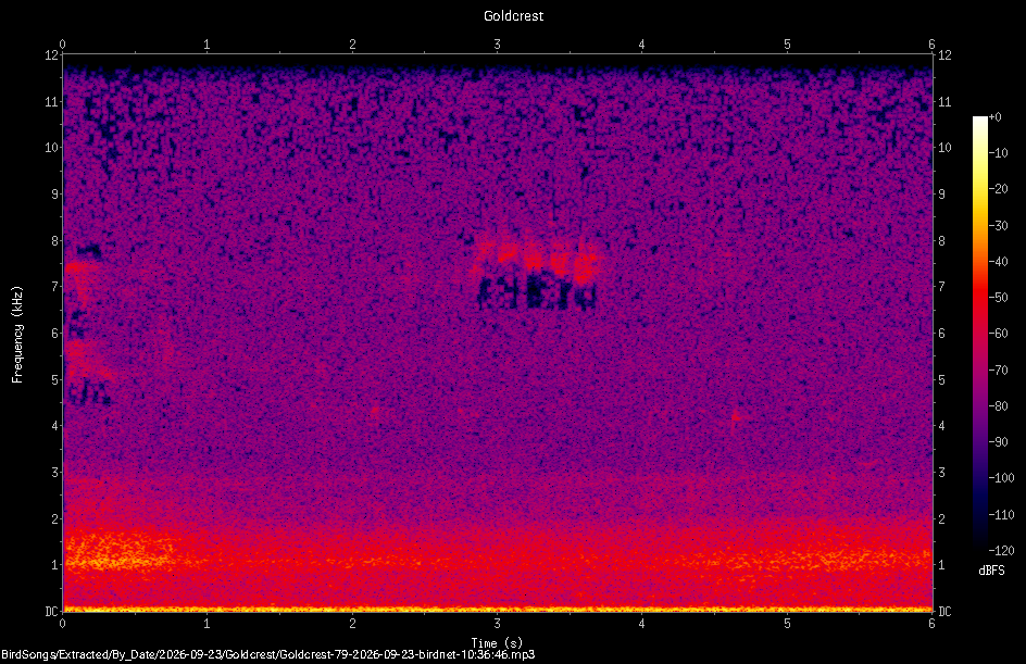 Spectrogram of a Goldcrest recorded at 10:36:46