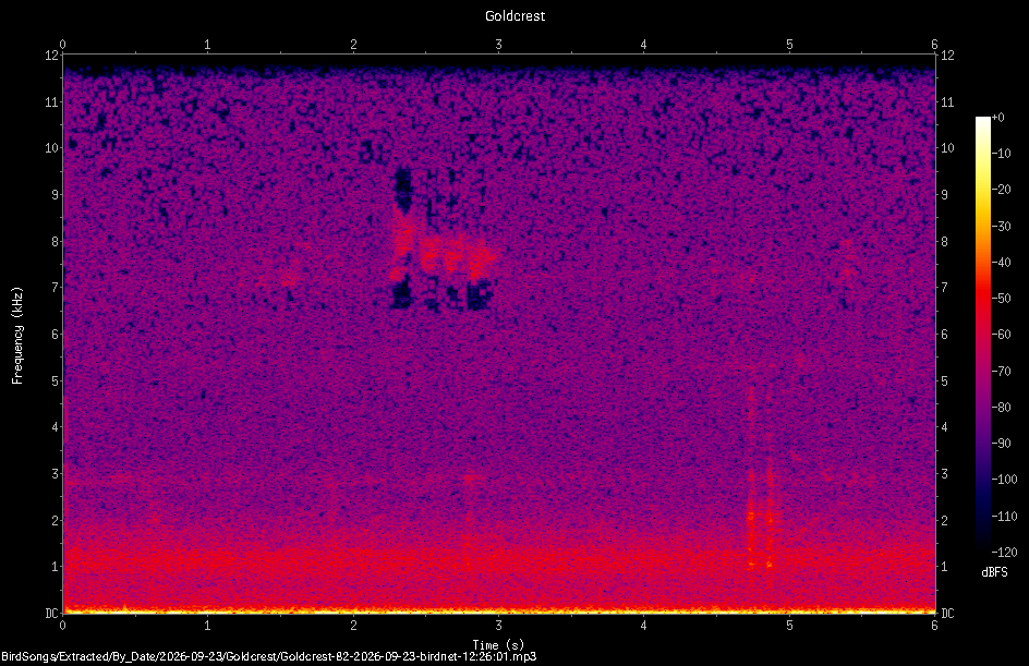 Spectrogram of a Goldcrest recorded at 12:26:01