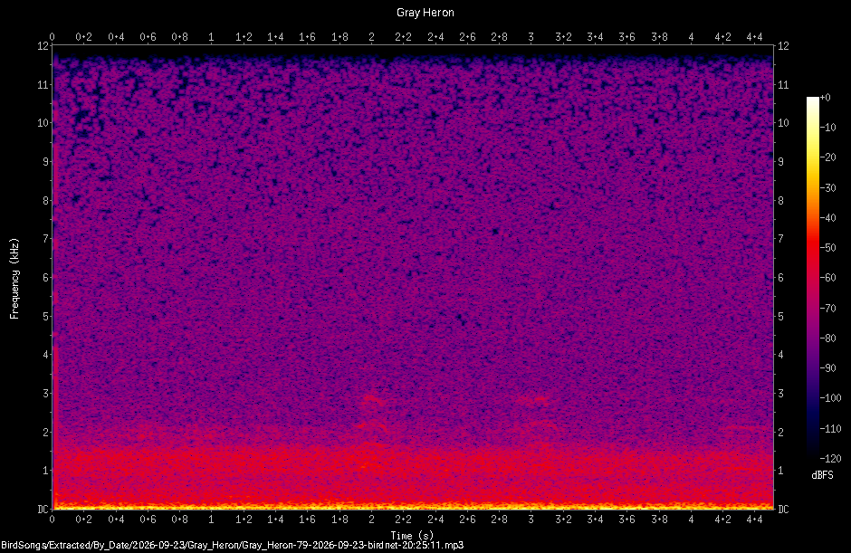 Spectrogram of a Gray Heron recorded at 20:25:11