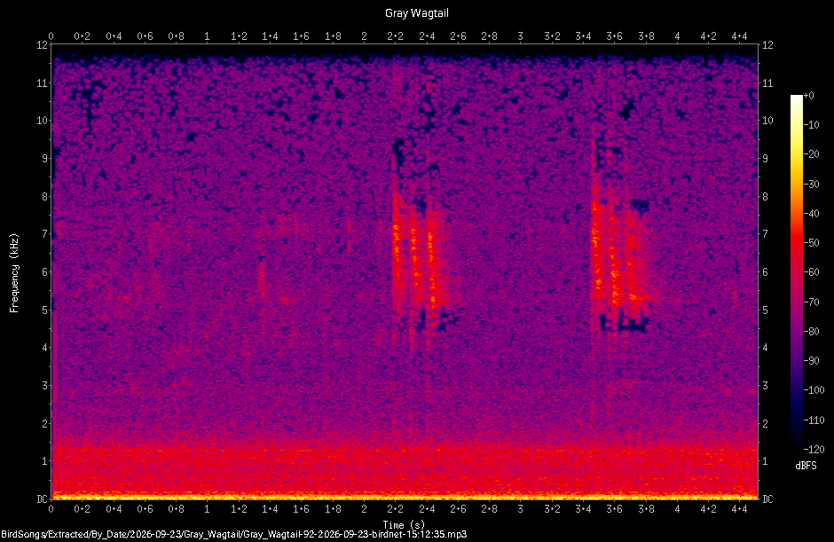 Spectrogram of a Gray Wagtail recorded at 15:12:35