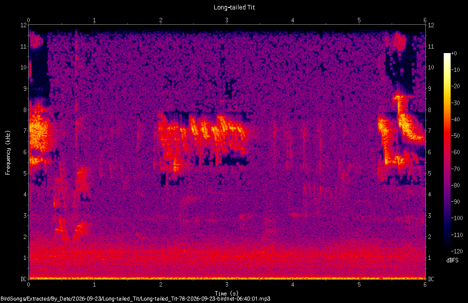 Spectrogram of a Long-tailed Tit recorded at 06:40:01