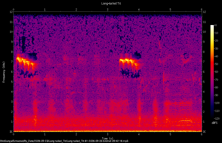 Spectrogram of a Long-tailed Tit recorded at 09:42:18