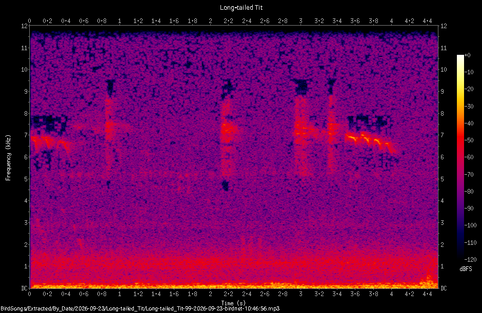Spectrogram of a Long-tailed Tit recorded at 10:46:56