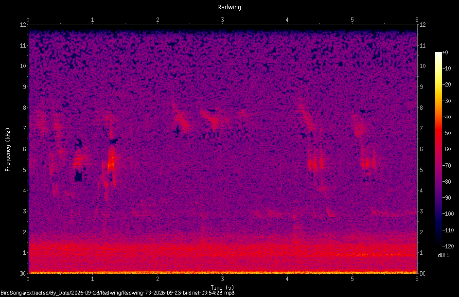 Spectrogram of a Redwing recorded at 09:54:28