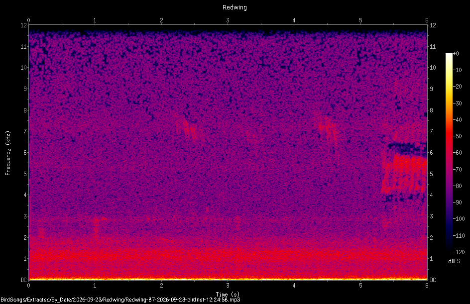 Spectrogram of a Redwing recorded at 12:24:58
