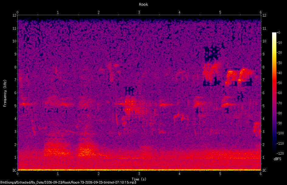 Spectrogram of a Rook recorded at 07:10:15