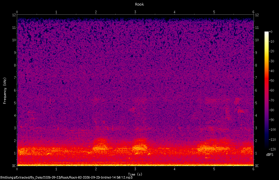 Spectrogram of a Rook recorded at 14:58:12