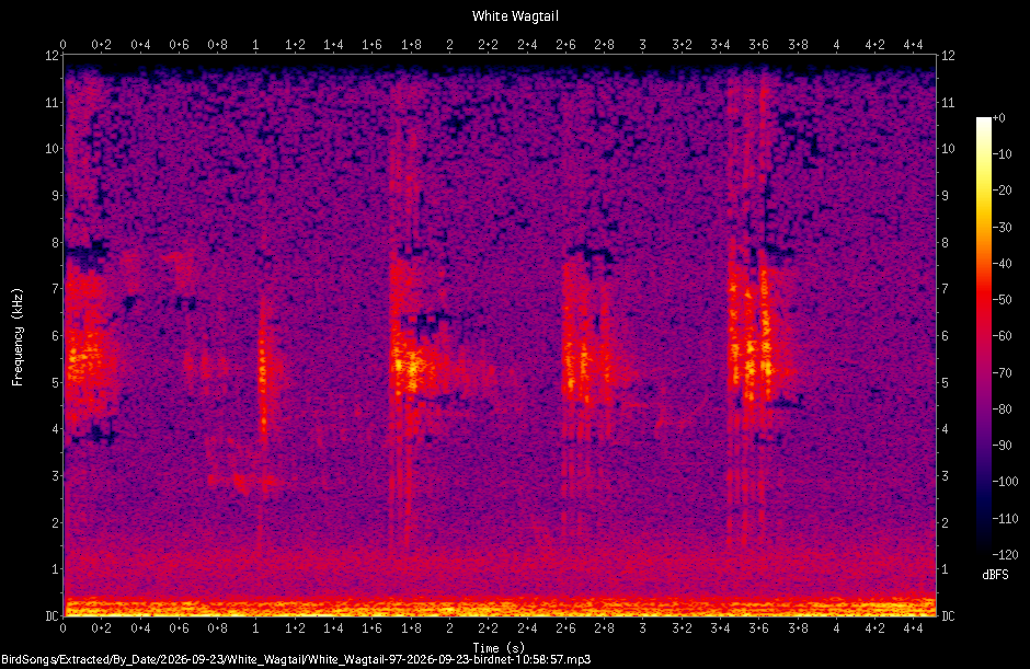 Spectrogram of a White Wagtail recorded at 10:58:57